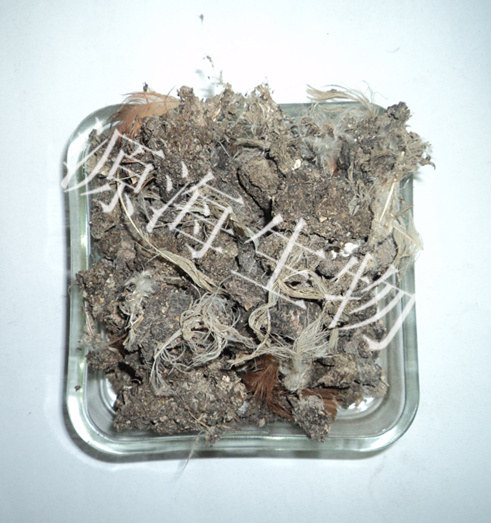 干雞糞