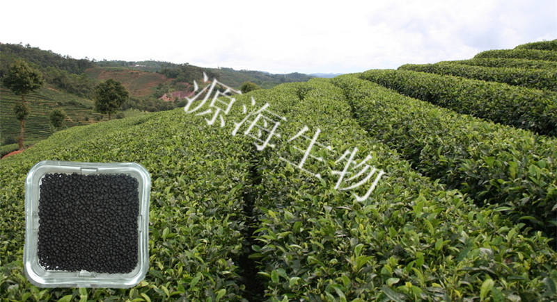 (zhun)÷