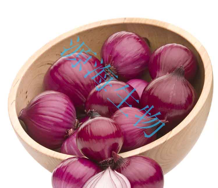 有機(jī)肥|施肥管理di一季|之洋蔥篇