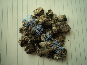 干雞糞