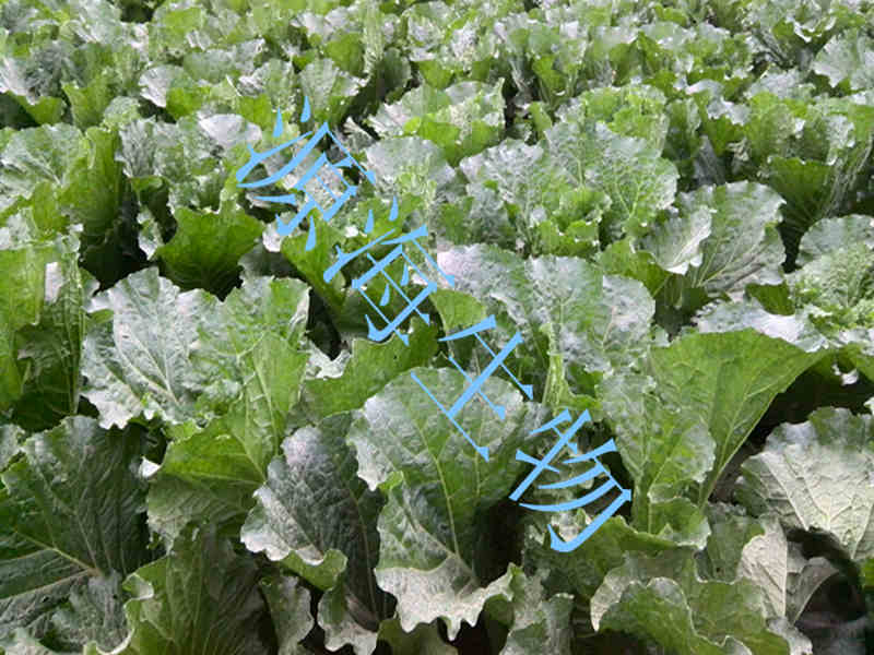 ӱԴcӱĳײ˻غ