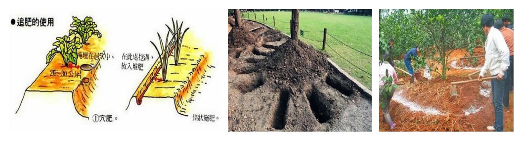 油茶專用肥