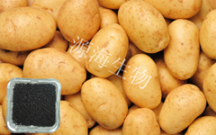 R(zhun)÷