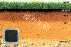 (zhun)÷